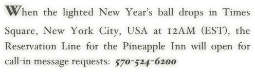 When the lighted New Year’s ball drops in Times Square, New York City, USA at 12AM (EST), the Reservation Line for the Pineapple Inn will open for call-in message requests:  570-524-6200
